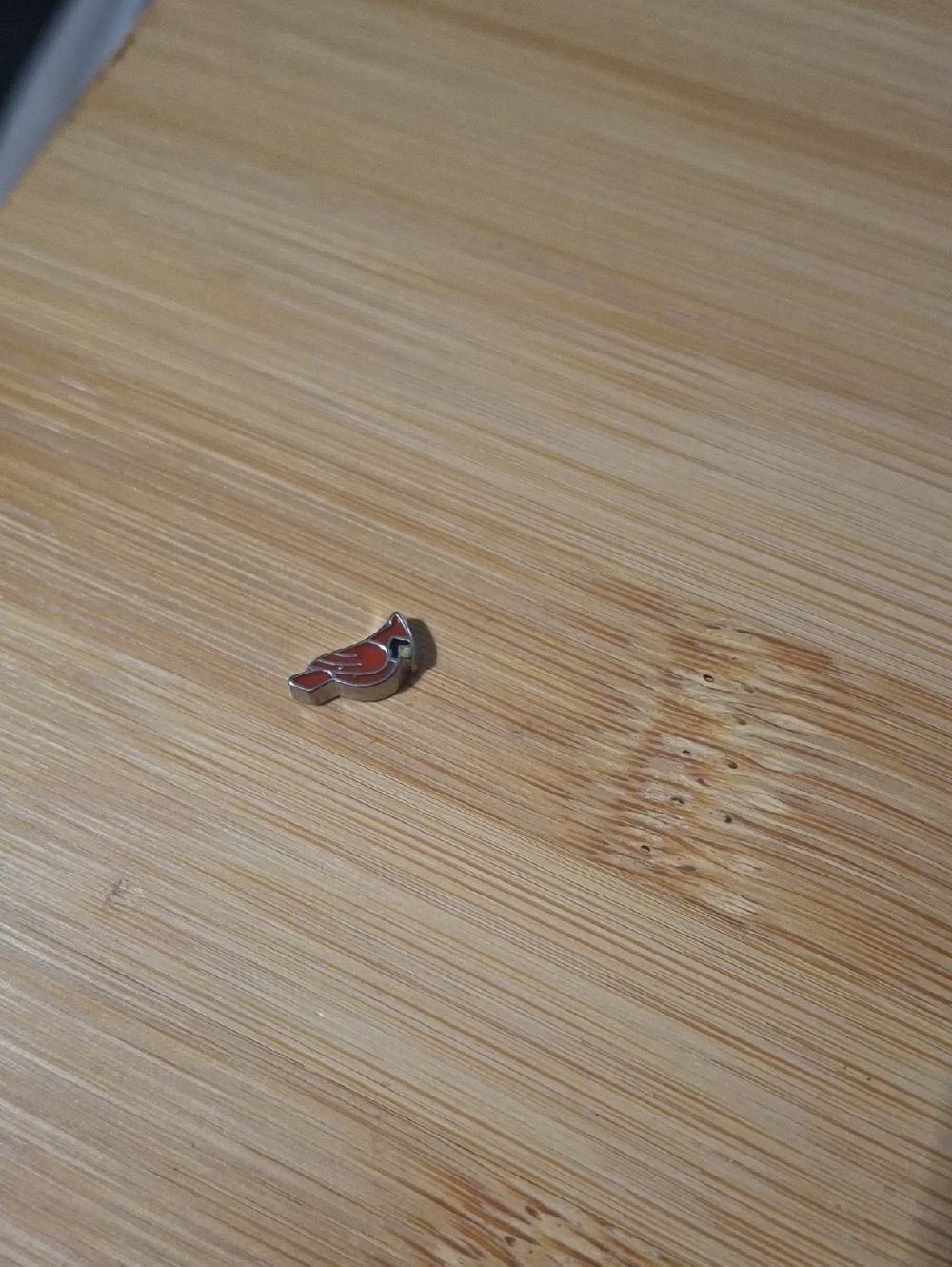 Cardinal Charm For Floating Lockets